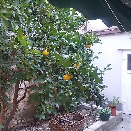 Dante بيت ضيافة تيسنو