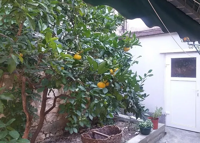 Dante بيت ضيافة تيسنو